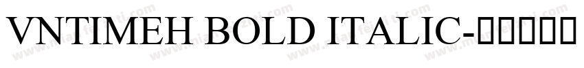 VnTimeH Bold Italic字体转换